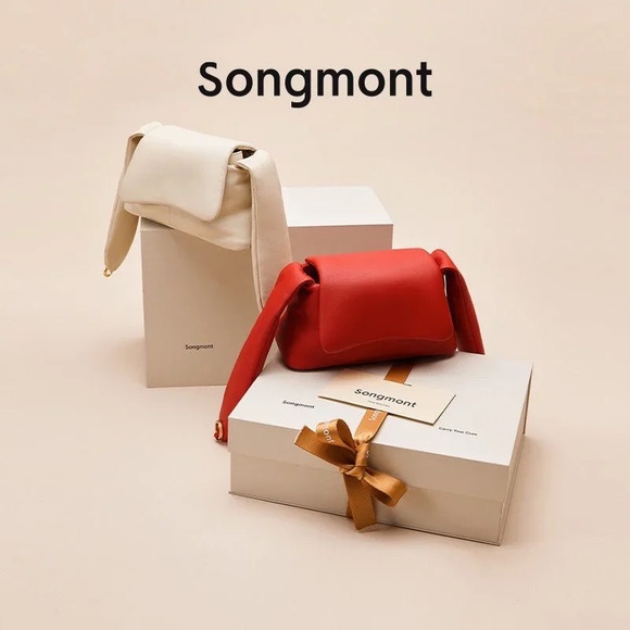 Songmont Hugnny Handbag - Picture 5 of 10